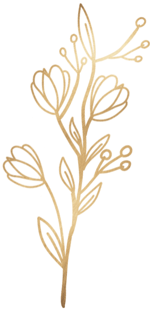 Imagen decorativa